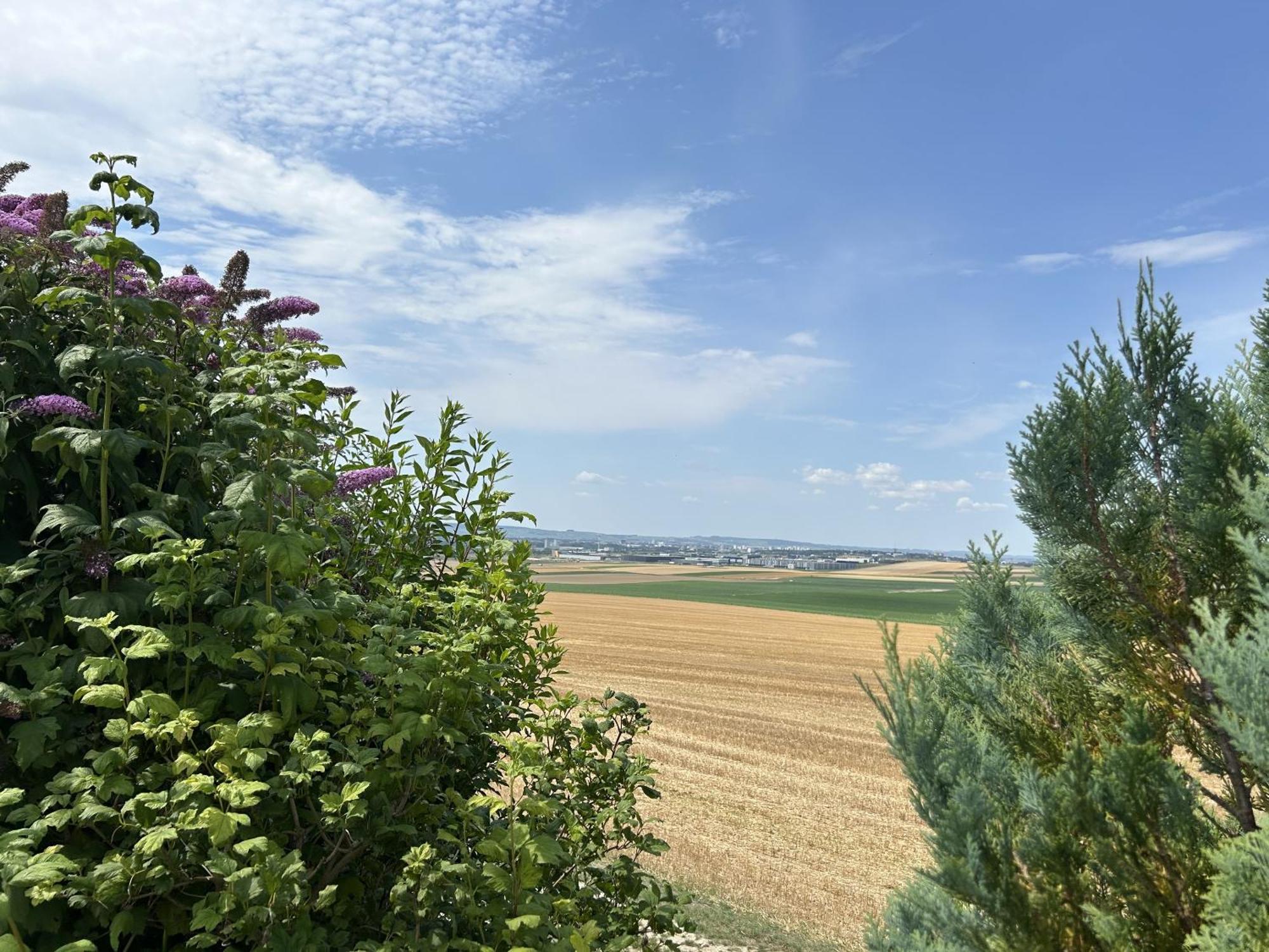 Le Charme Villa Cernay-les-Reims Exterior foto
